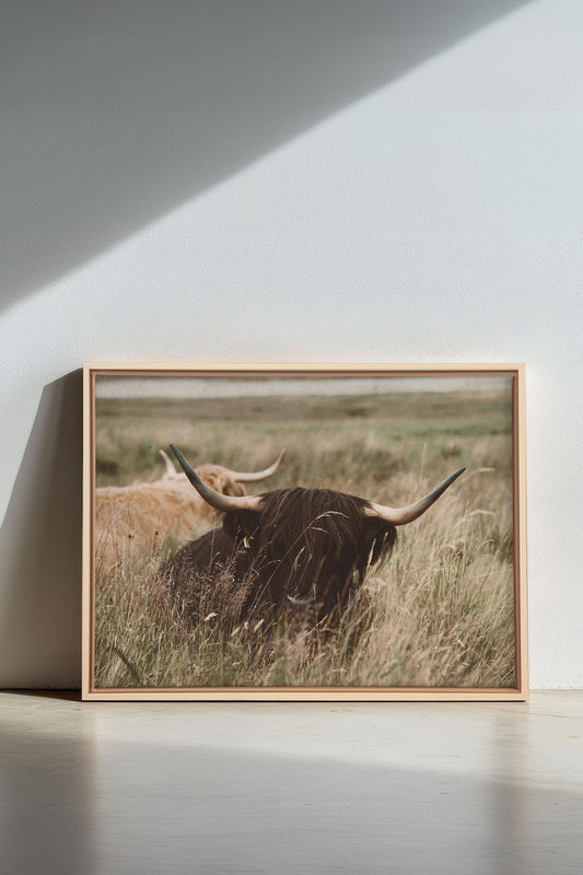 HIGHLAND SPIRIT, Mischtechnik auf gespannter Leinwand