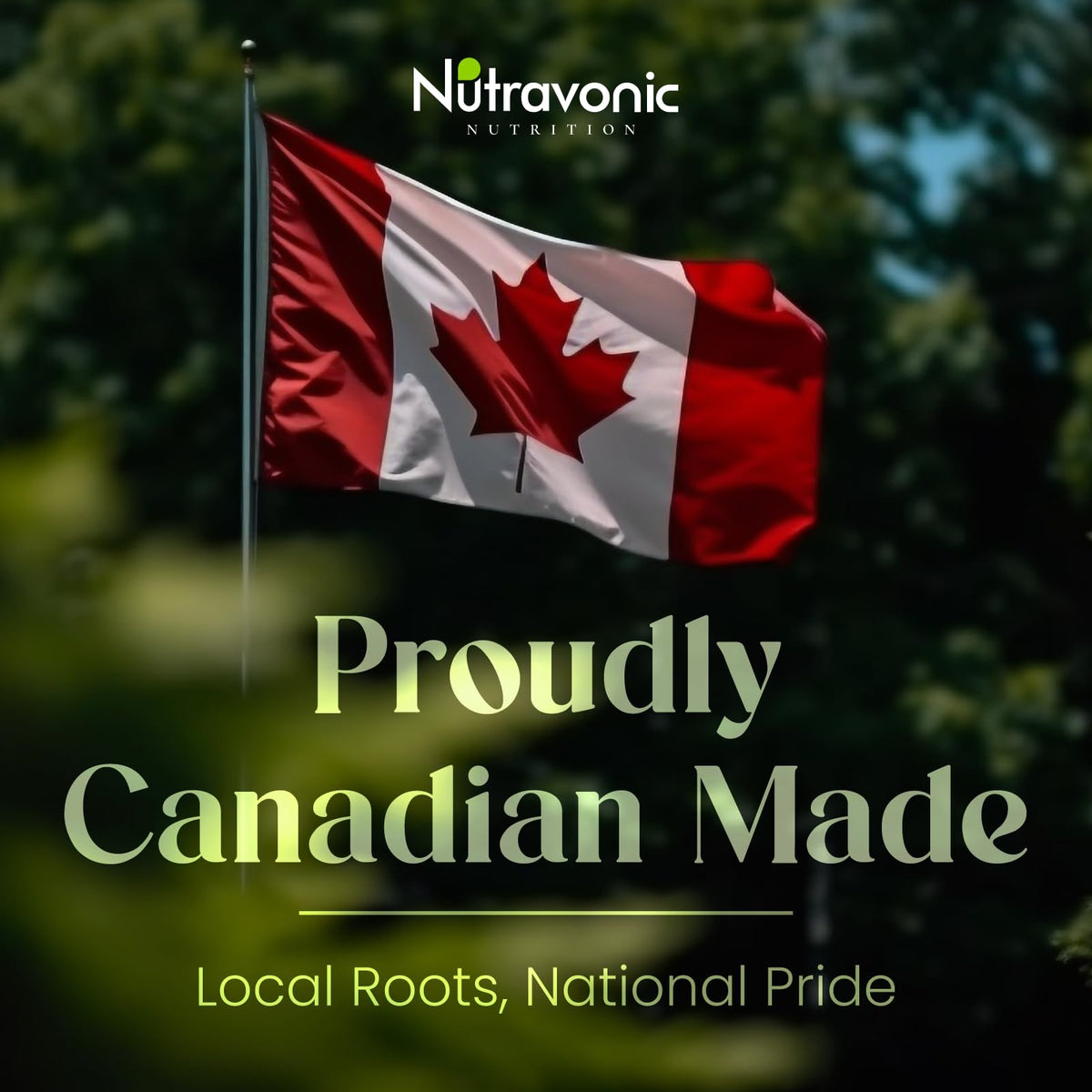 Nutravonic Berberine Supplements 1000mg Per Serving, 500mg Per Capsule | Made in Canada I Supports Healthy Glucose & Lipid Metabolism | Non-GMO, Vegan, Gluten-free, 120 Easy-to-Swallow Capsules đ All In One Marketplace Canada