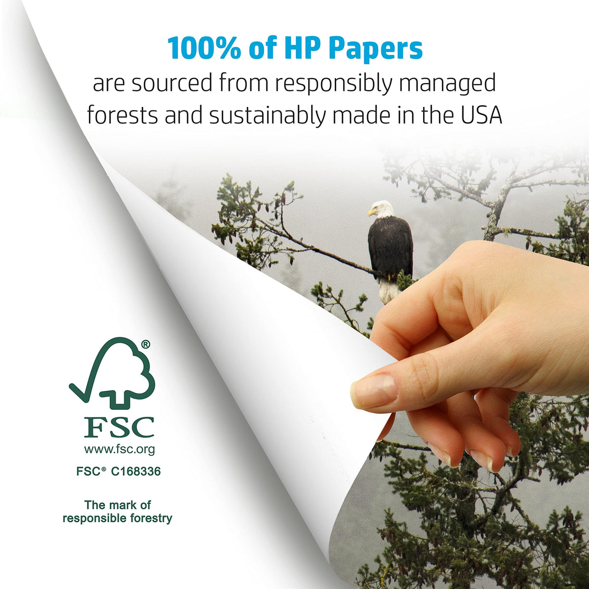 HP Printer Paper 8.5x11 MultiPurpose 20 lb 3 Ream Case 1500 Sheets 96 Bright Made in USA FSC Certified Copy Paper HP Compatible 112530C 🍁 All In One Marketplace Canada