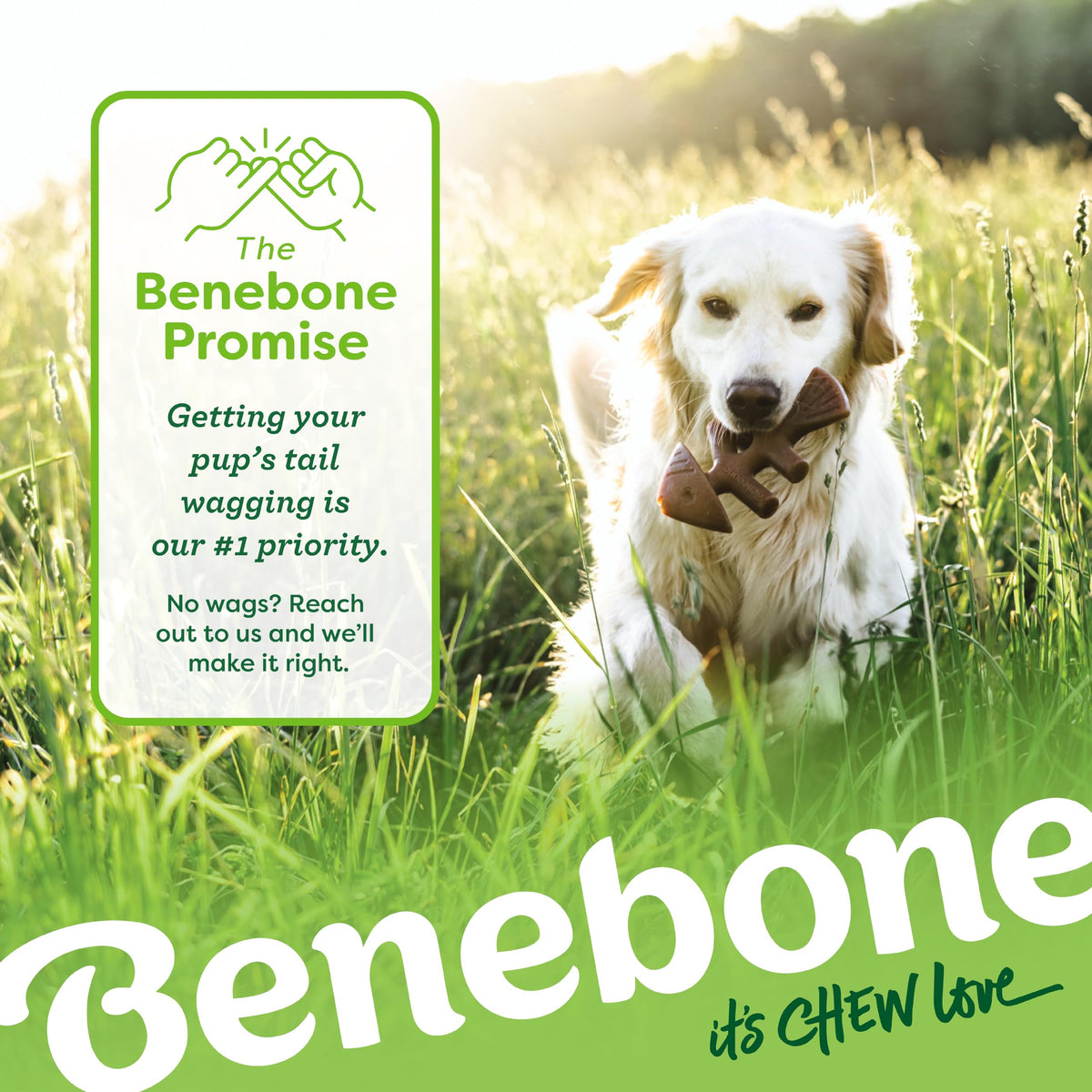 Benebone Large 4-Pack Dog Toys for Aggressive Chewers โ Under 90 lbs ๐ All In One Marketplace Canada