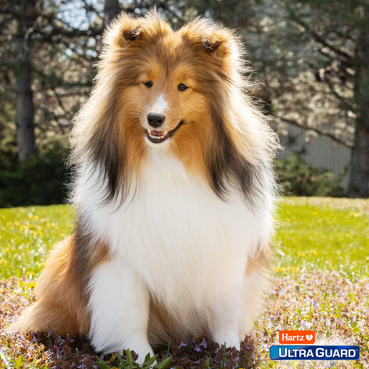 UltraGuard Pro Topical Flea & Tick Prevention for Dogs and Puppies - 2.5-6, 3 Monthly Treatments š All In One Marketplace Canada