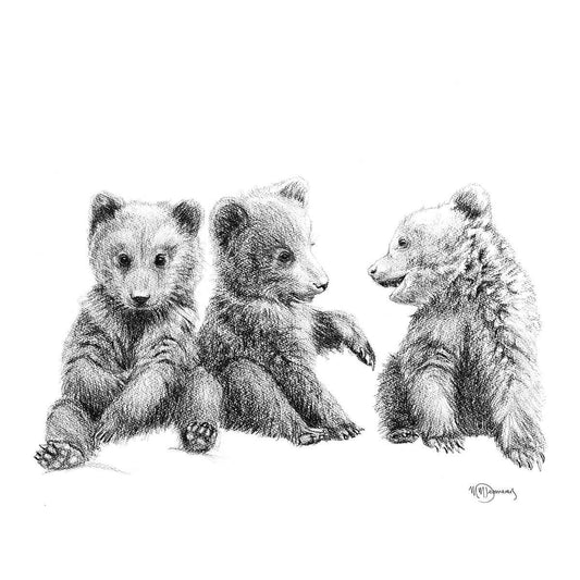 3 Brown Bear Cubs - Illustration