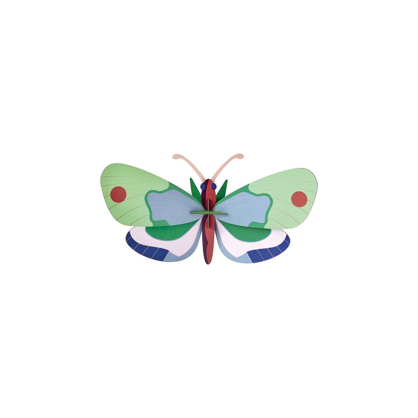 Minz-Wald-Schmetterling