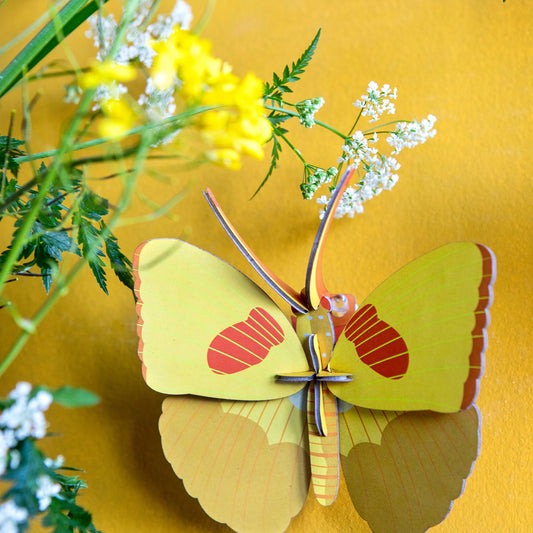 Gelber Schmetterling