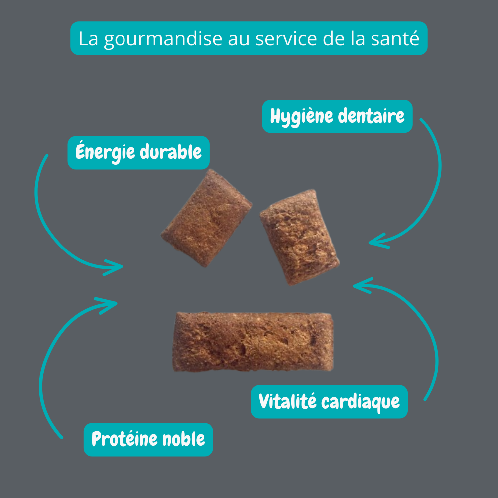 Biscuit croquant à saveur de bacon