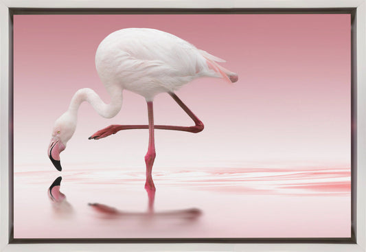 Wandbild Flamingo