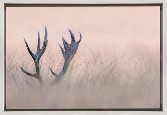 Wandkunst Verstecken spielen (Horn vom Hirsch)