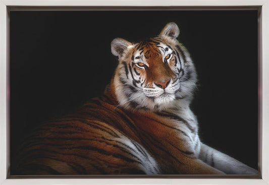 Wandbild Serenity