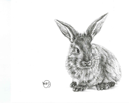 Cute Rabbit Greeting Card