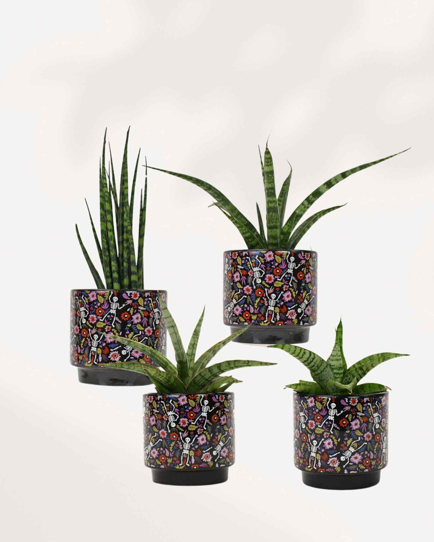 Day of the Dead Pot