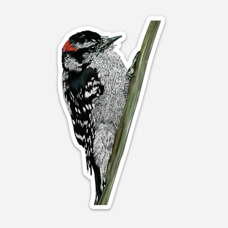 Kühlschrankmagnet – Dunenspecht