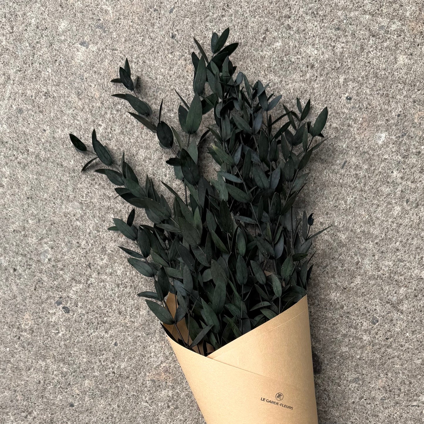 Eucalyptus nicholii