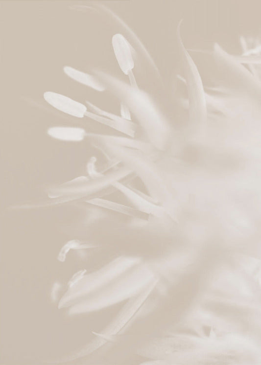 Wandbild Blume Beige_1
