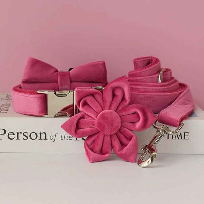 Baby Boo Engraved Dog Collar and Leash Set | Personalized Walking Accessories