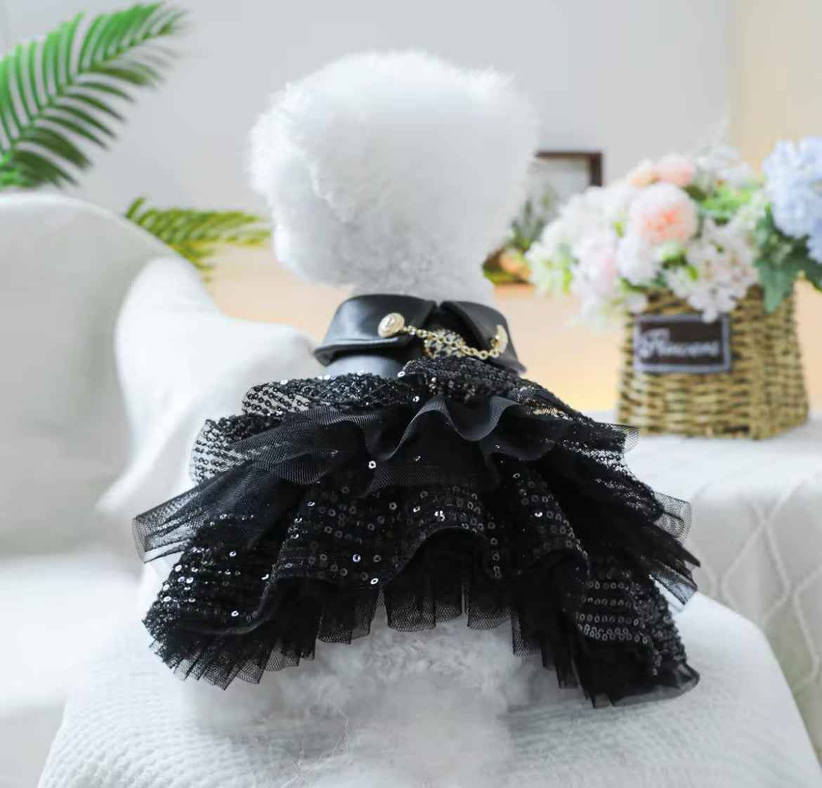 She’s a Rockstar Dog Dress | Dog Dress for Special Occasions