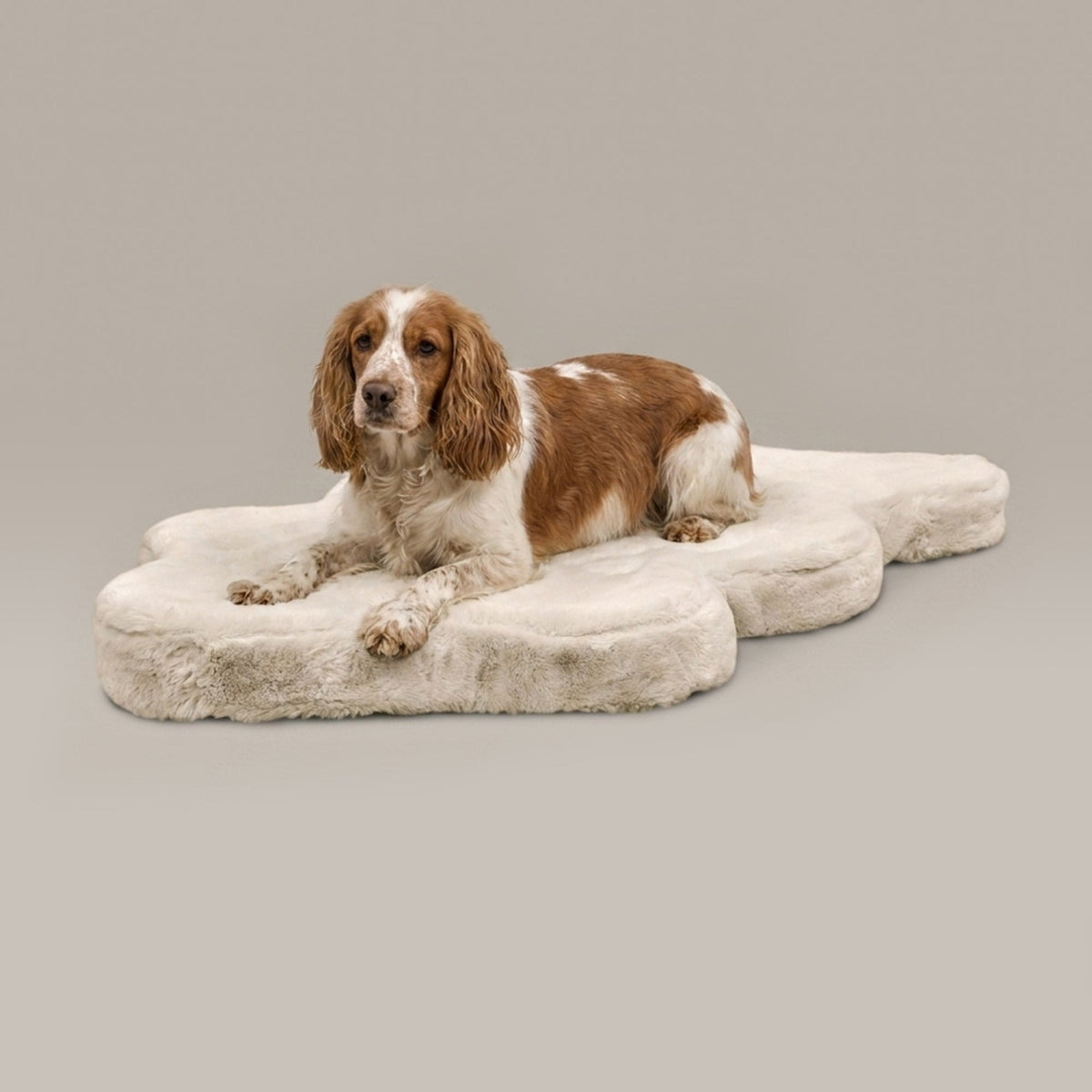 hide shape dog bed