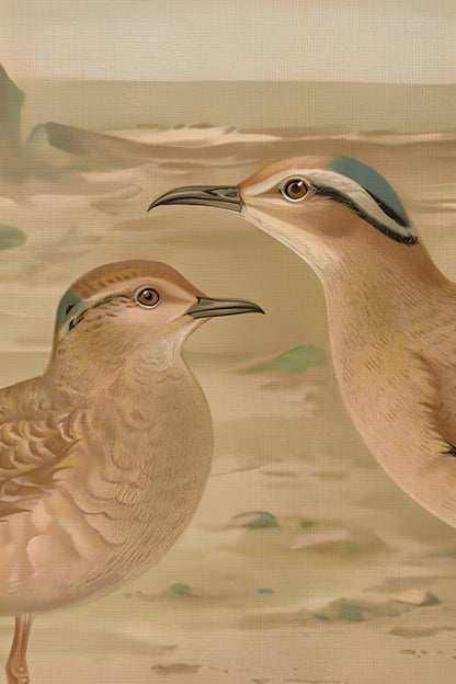 SANDVÖGEL, VINTAGE RAHMEN SILBER