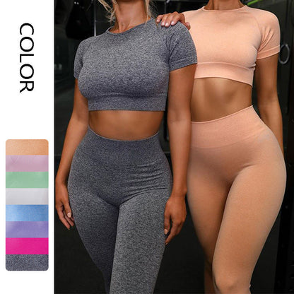 Women’s Seamless Yoga Sports Set – Running Leggings & Short-Sleeve Workout Top