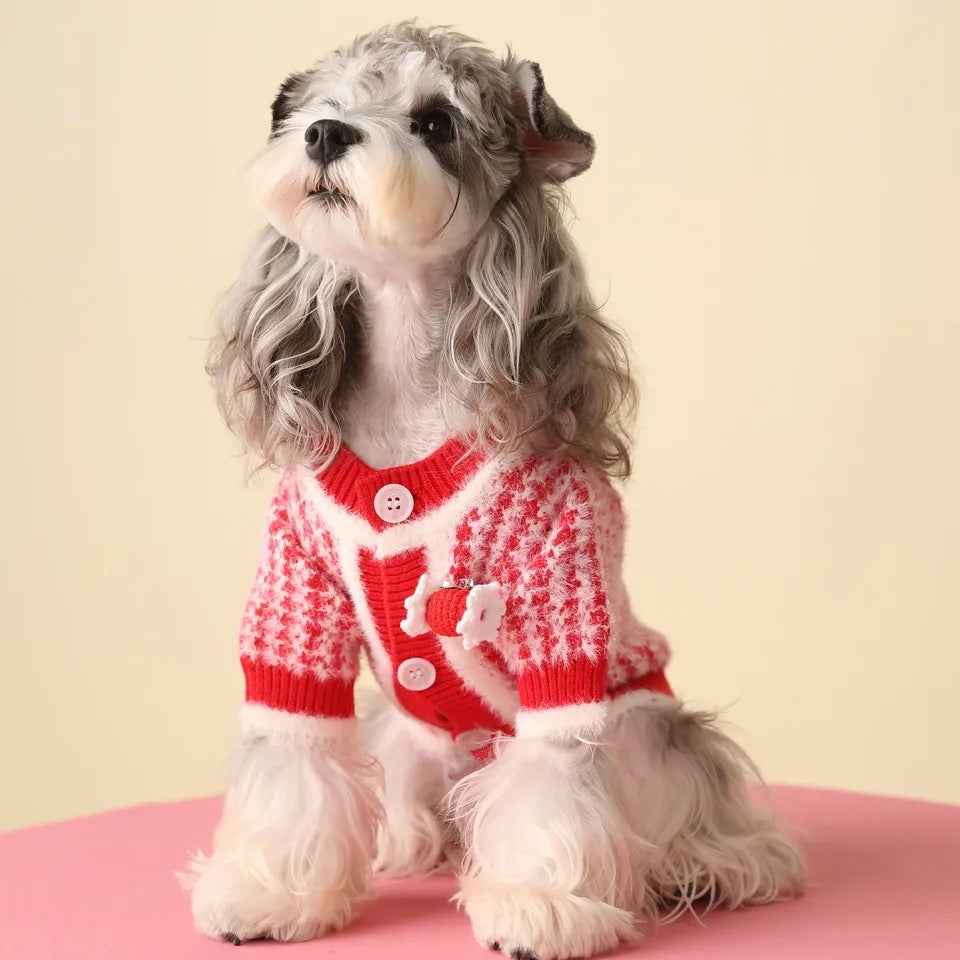 Rosalinda Cozy Knit Dog Sweater | Warm Everyday Dog Sweater