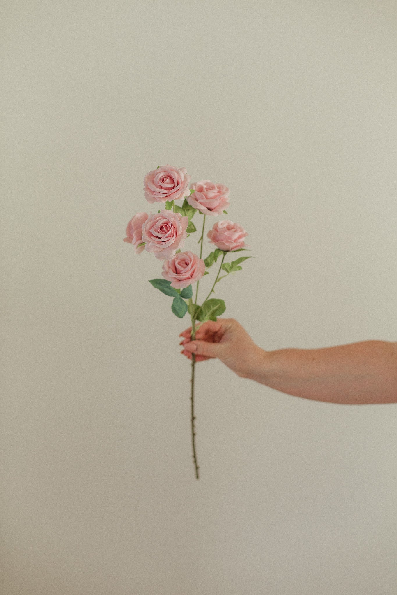 Small Rose Stem