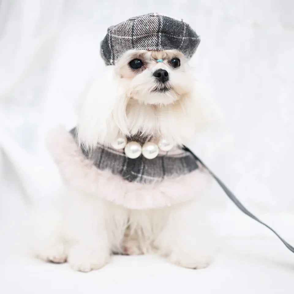 Peaky Street Tweed Dog Harness Set | Harness Hat and Leash Outfit