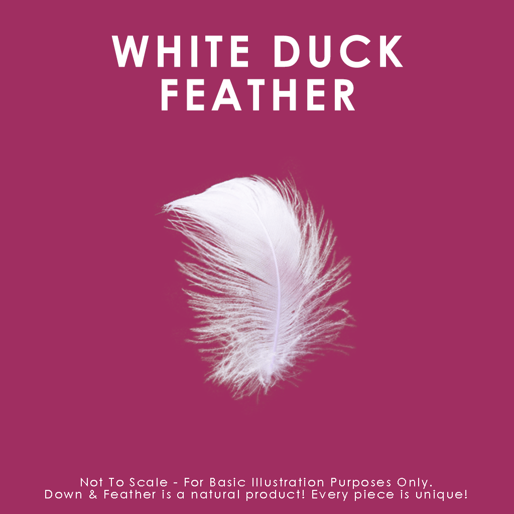 White Feather Cushions