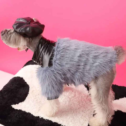 Jupiter Star Dog Jacket | Faux Leather Dog Coat with Fur Trim