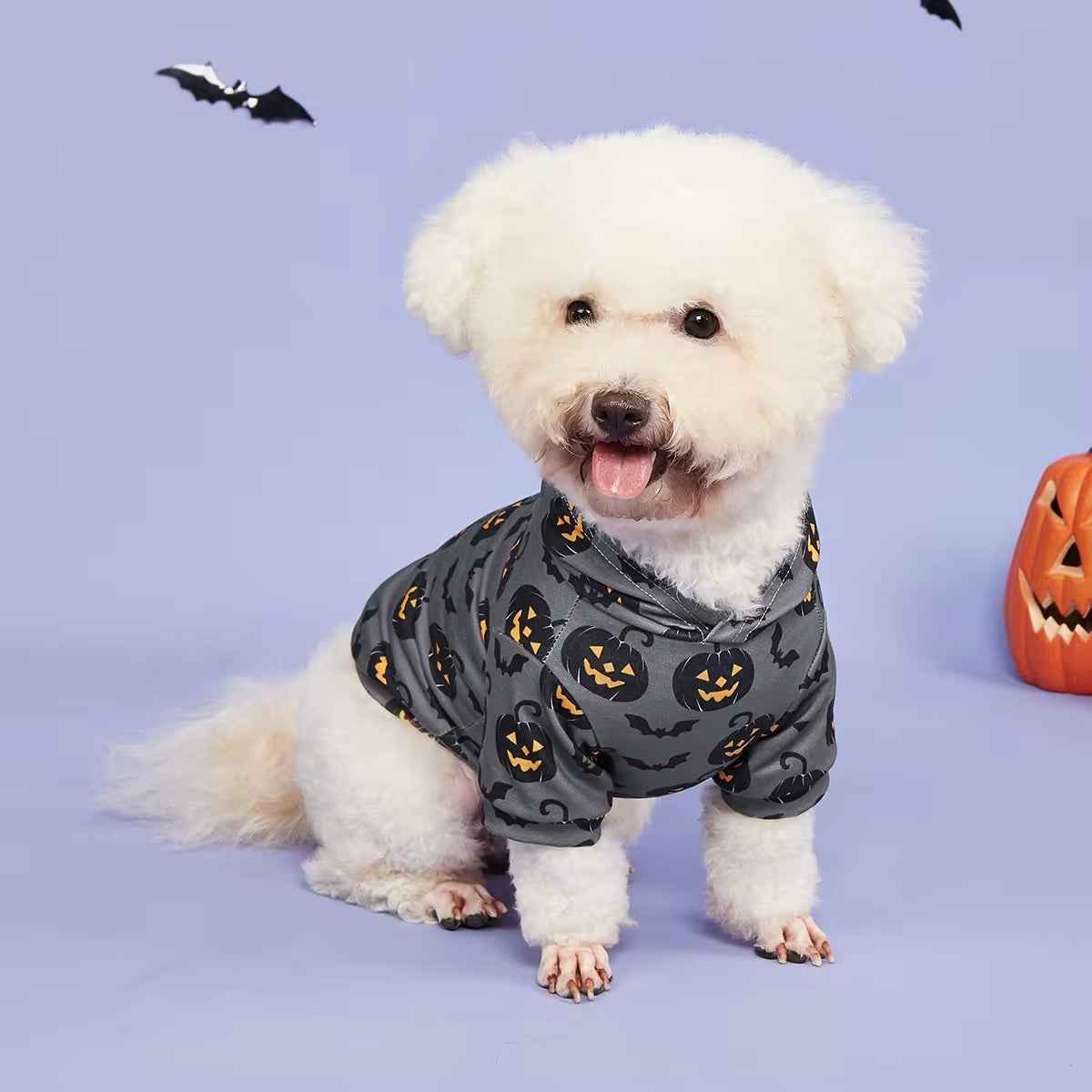 Halloween Pumpkin Dog Hoodie | Dog Hoodie