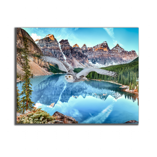 Leinwand-Tierkunst – Schneeeule bei Banff – Gedrucktes Kunstwerk