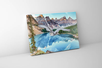 Leinwand-Tierkunst – Schneeeule bei Banff – Gedrucktes Kunstwerk