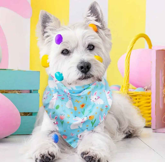 Easter Bunny Bandana – Festive Luxury Dog Bandana