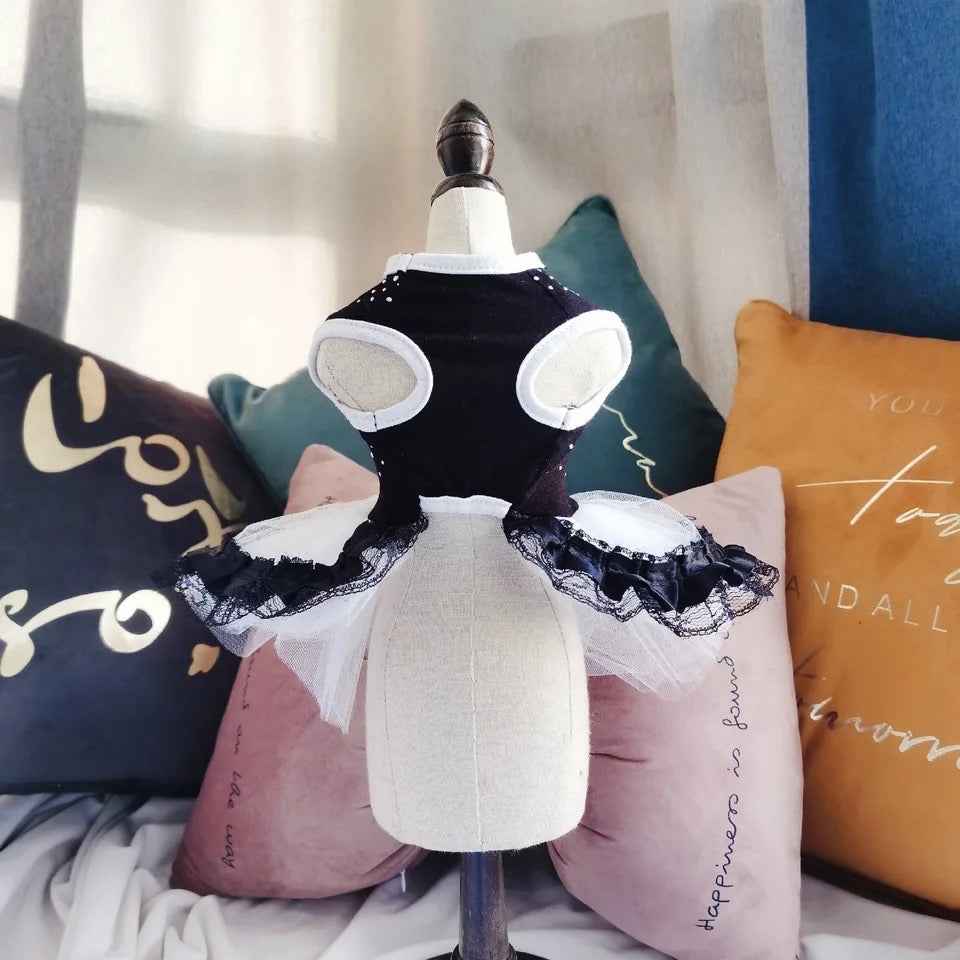 Amani Tutu Dog Dress