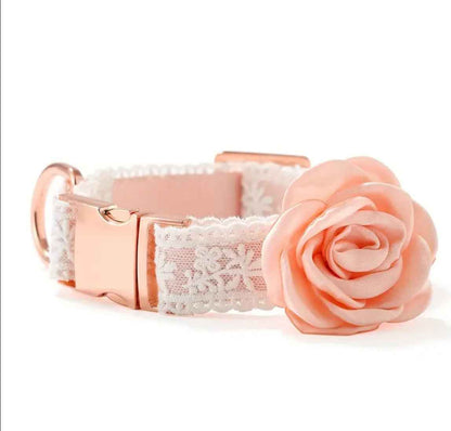 Enchanted Collar & Leash Set | Dog Collar and Leash