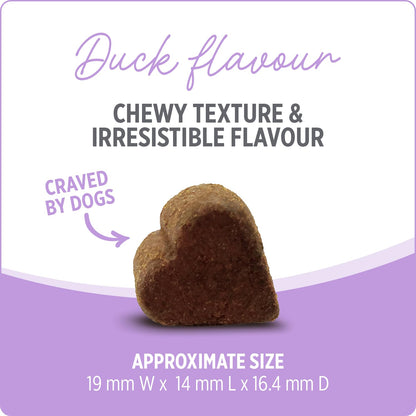Nutrience Care® Hip & Joint Dog Supplement, 100 Soft Chews, 400 g 🍁 All In One Marketplace Canada