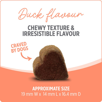 Nutrience Care® Probiotic+ Dog Supplement, 100 Soft Chews, 400 g 🍁 All In One Marketplace Canada