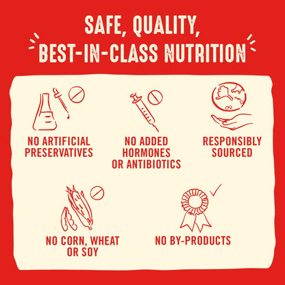 Stella & Chewy’s Freeze Dried Raw Dinner Patties – Grain Free Dog Food, Protein Rich Dandy Lamb Recipe – 708g Bag 🍁 All In One Marketplace Canada