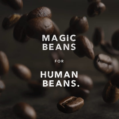 Kicking Horse Coffee - Three Sisters Blend, Ground 100% Arabica Coffee | Medium Roast | All Organic & Fairtrade | 708 g 🍁 All In One Marketplace Canada