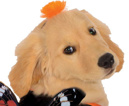 Rubies Costume Co Halloween Classics Collection Pet Costume, X-Large, Monarch Butterfly