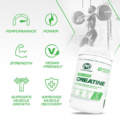 PVL 100% Pure Creatine Monohydrate Powder – Micronized Supplement for Women & Men, Unflavoured Amino Acids & Beta Alanine Friendly, Informed-Choice Tested, 1000 g (200 Servings) 🍁 All In One Marketplace Canada