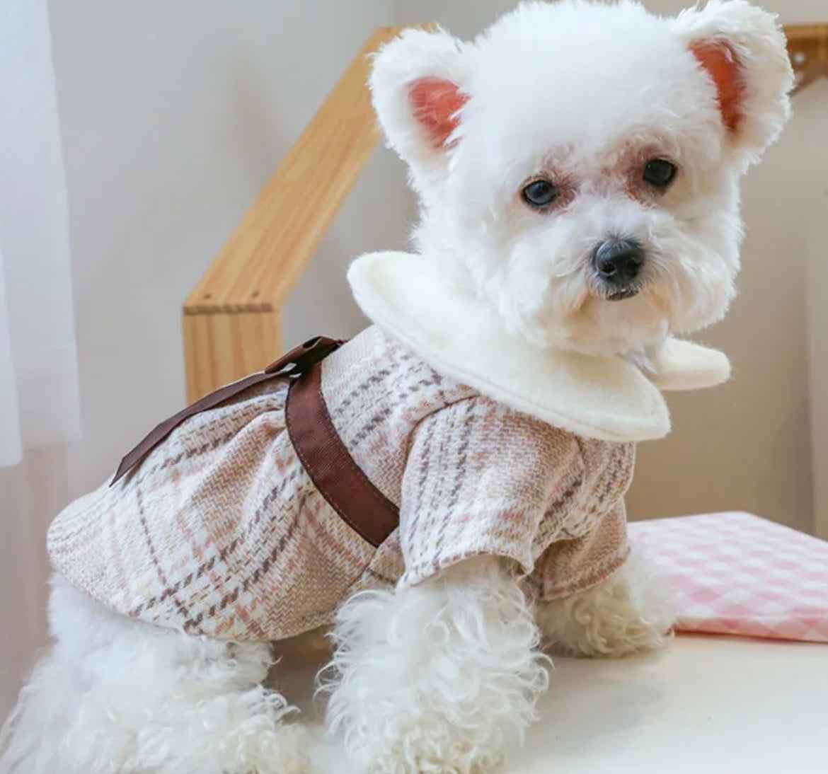 Fiona Dog Dress | Dog Dress for Special Occasions