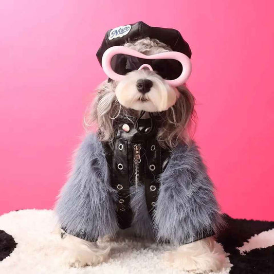 Jupiter Star Dog Jacket | Faux Leather Dog Coat with Fur Trim