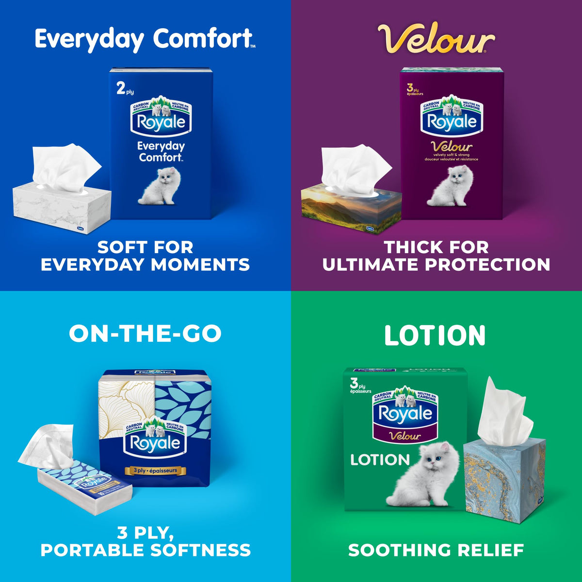 Royale Velour 3 Ply Facial Tissue, 24 Tissue Boxes, 72 Tissues per Box 🍁 All In One Marketplace Canada