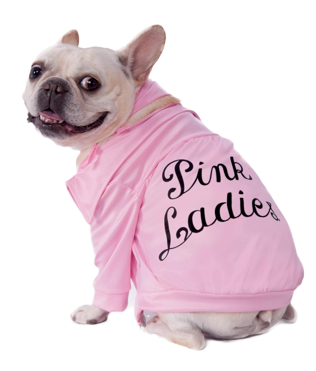 Rubies Grease 40th Anniversary Pet Pink Ladies Jacket for Themed Parties and Halloween, X-Small