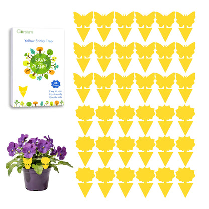 Garsum Fruit Fly Trap Indoor and Outdoor, 36 Pack Gnat Sticky Traps for House Plants, Flying Insect Trap for Fungus Gnat,Mosquitos, White Flies 🍁 All In One Marketplace Canada