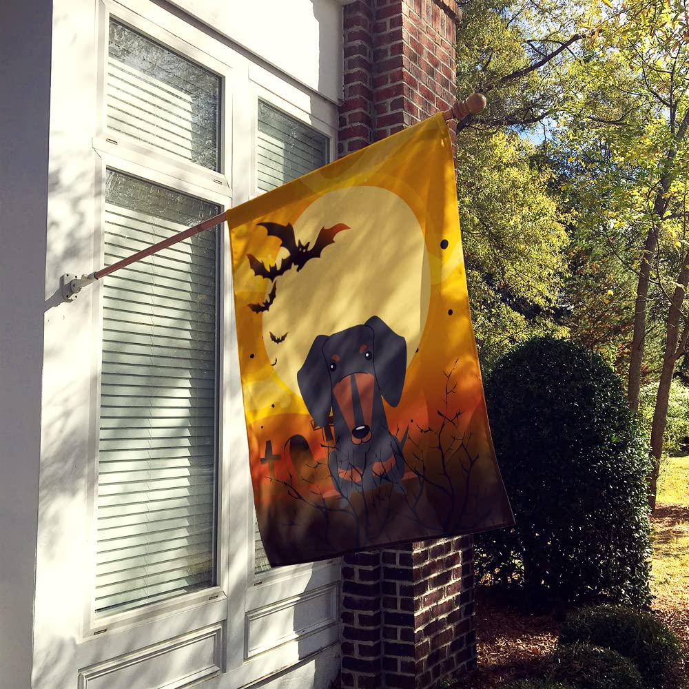 Caroline's Treasures BB4398CHF Halloween Dachshund Black Tan Flag Canvas House Size, Large, Multicolor