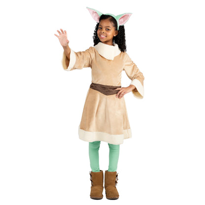 Jazwares Costume Play Star Wars Grogu Official Youth Halloween Dress - Premium Quality Minky Robe with Minky Headpiece (L)
