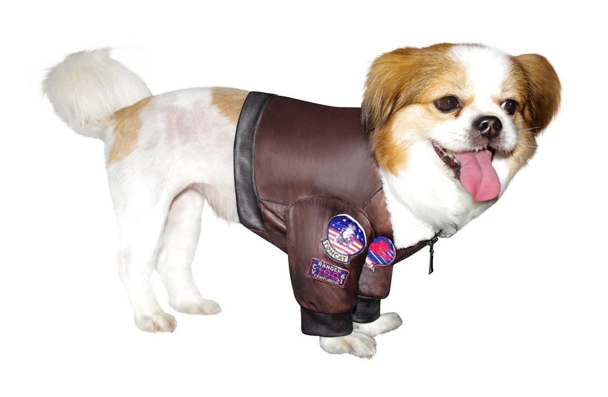 Rubies Top Gun Classic Movie Pet Costume, X-Large for Themed Parties and Halloween