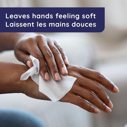 Wet Ones Antibacterial CitrusScent Hand Wipes| Travel | Hand Sanitizer Wipes, Travel Essentials, 40‑Count Canisters, Pack of 6 🍁 All In One Marketplace Canada