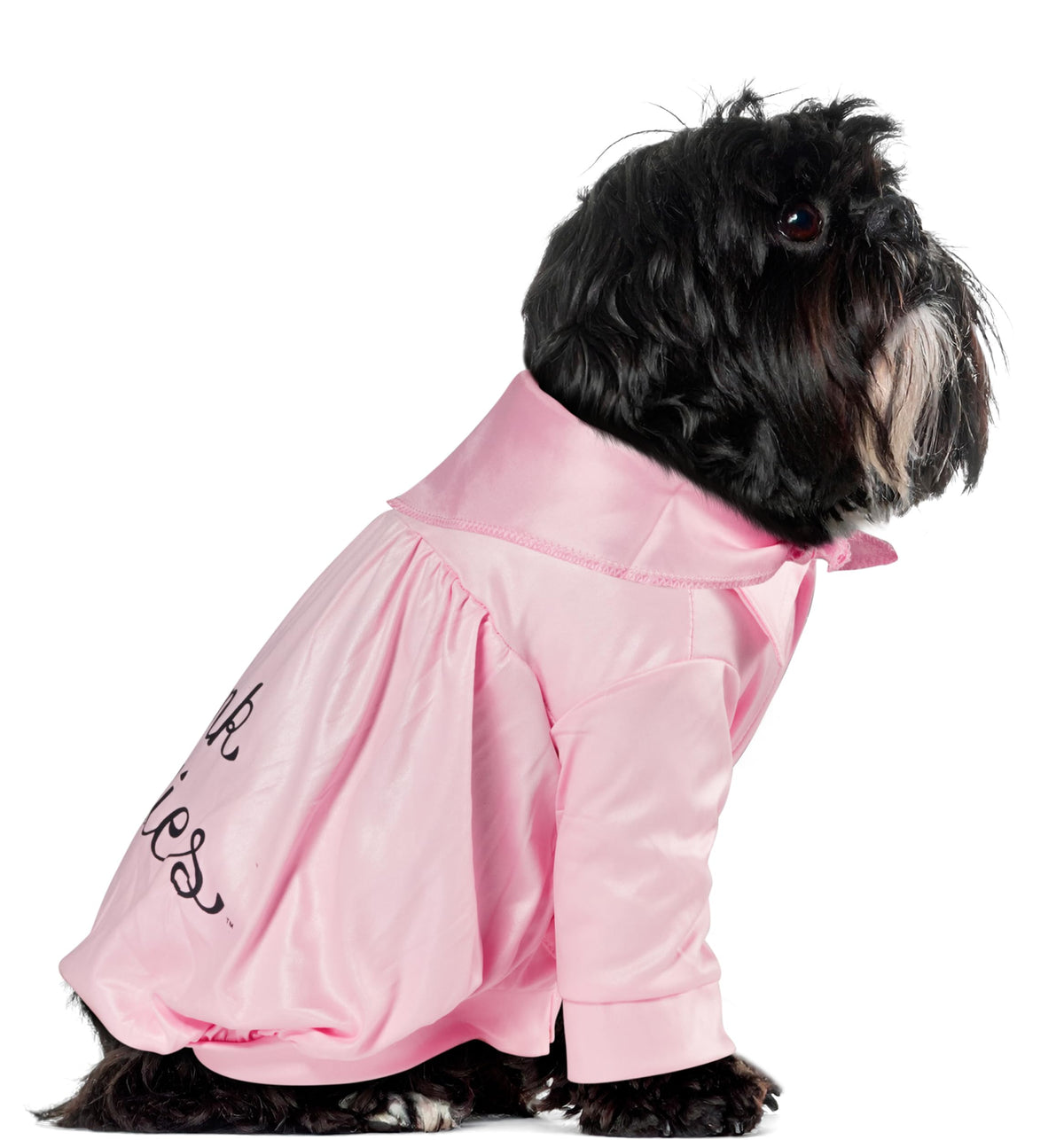 Rubies Grease 40th Anniversary Pet Pink Ladies Jacket for Themed Parties and Halloween, X-Small