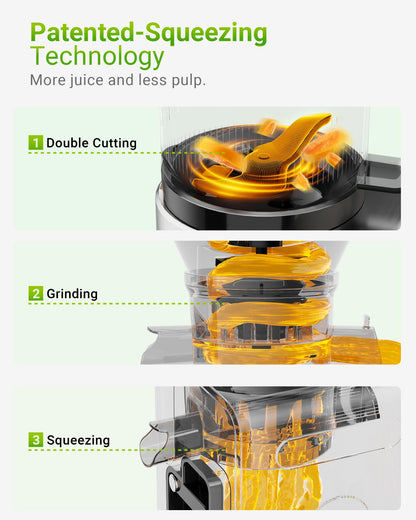 Juicer Machine, 6.5" Large Feed Chute Cold Press Juicer with 350W, Slow Masticating Juicer for Whole Vegetables & Fruits, High Juice Yield, Easy to Clean, Black 🍁 All In One Marketplace Canada